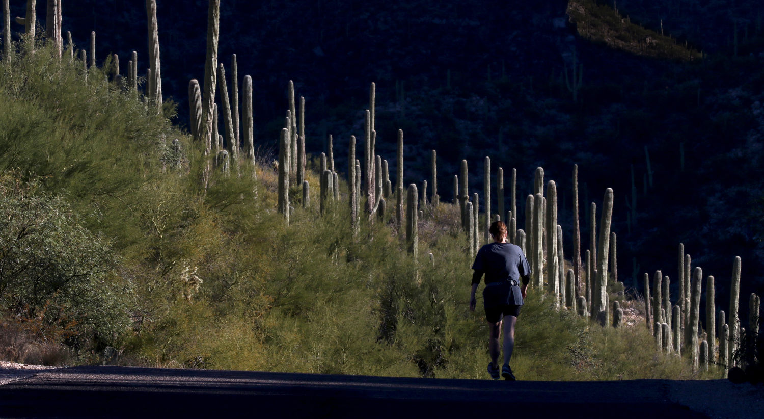 Sabino Canyon